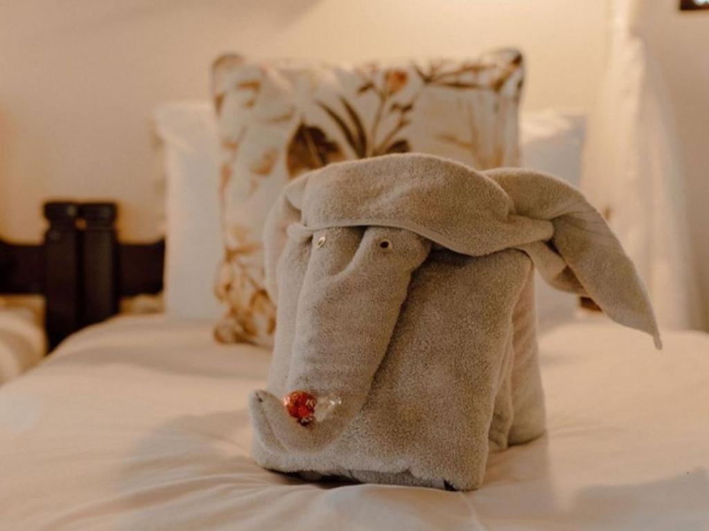 Nyala Safari Lodge Hoedspruit Kültér fotó