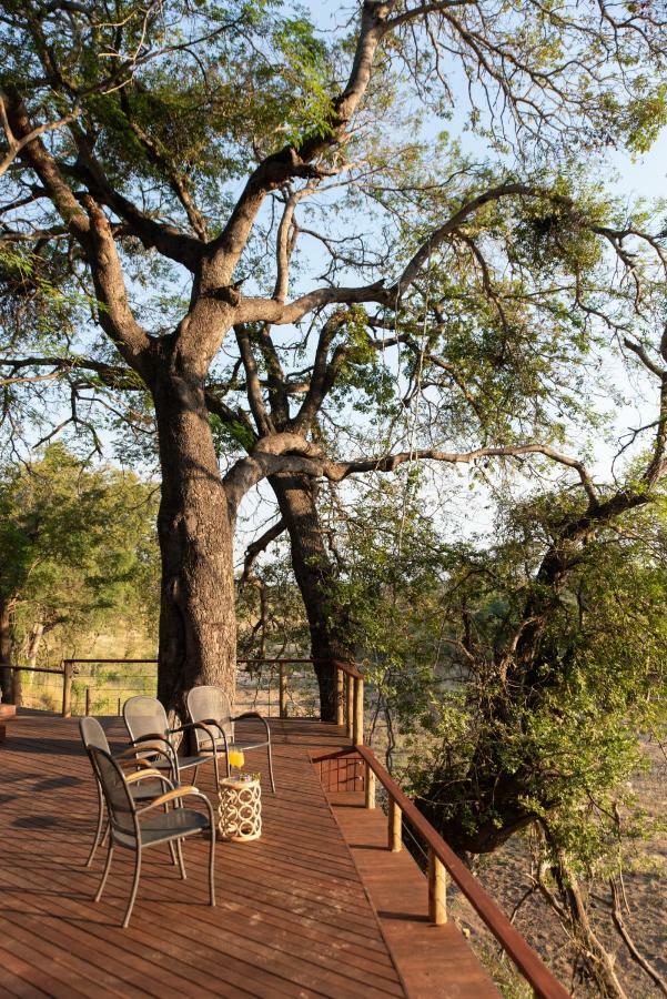 Nyala Safari Lodge Hoedspruit Kültér fotó